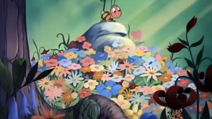 Donald duck cartoons - Bootle beetle