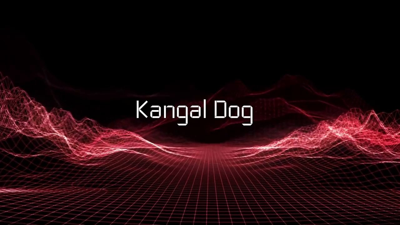 Red and Black Futuristic Gaming Channel YouTube Intro