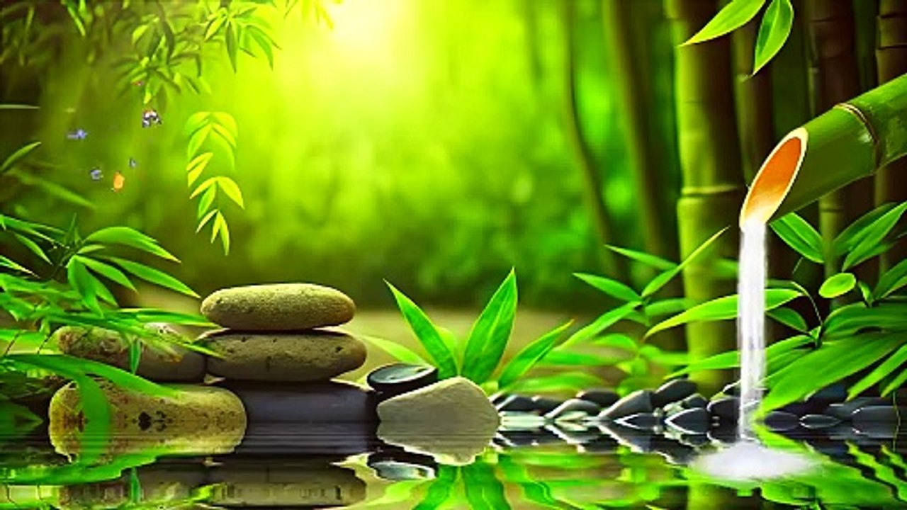 Free background videos - 4K  Bamboo, stone, lake, tropical forest spa concept (2)