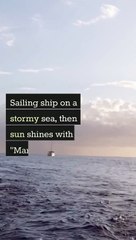 Marine Insurance Navigating Rough Waters