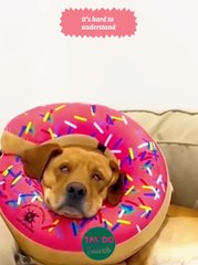 Struggling to Understand? Here's How to Clarify Your Thoughts 🤔