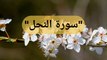 Surah An-Nahl (سورة النحل.)| Best QURAN Recitation | Islamic knowledge