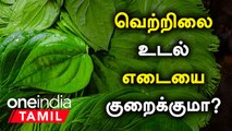 உடல் எடையை குறைக்க உதவும் வெற்றிலை...எப்படி? |சளிக்கு மட்டுமல்ல! | Vetrilai for Weight Loss in Tamil