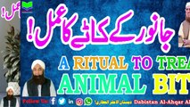 Janwar K Katay Ka Amal | A Ritual To Treat Animal Bite | Dabistan Al-Attari | Muhammad Tariq Rashid