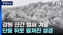 늦가을 단풍 뒤로 펼쳐진 설경...강원 산간 벌써 겨울 / YTN