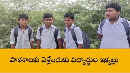 నెల్లూరు జిల్లా: పాఠశాలకు వెళ్లాలంటే... 10 కి.మీ నడవాల్సిందే!