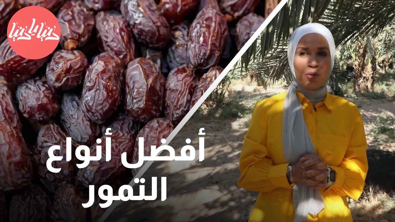 تمور طازجة ولذيذة  كيف يتم إنتاج أفضل أصناف التمور؟