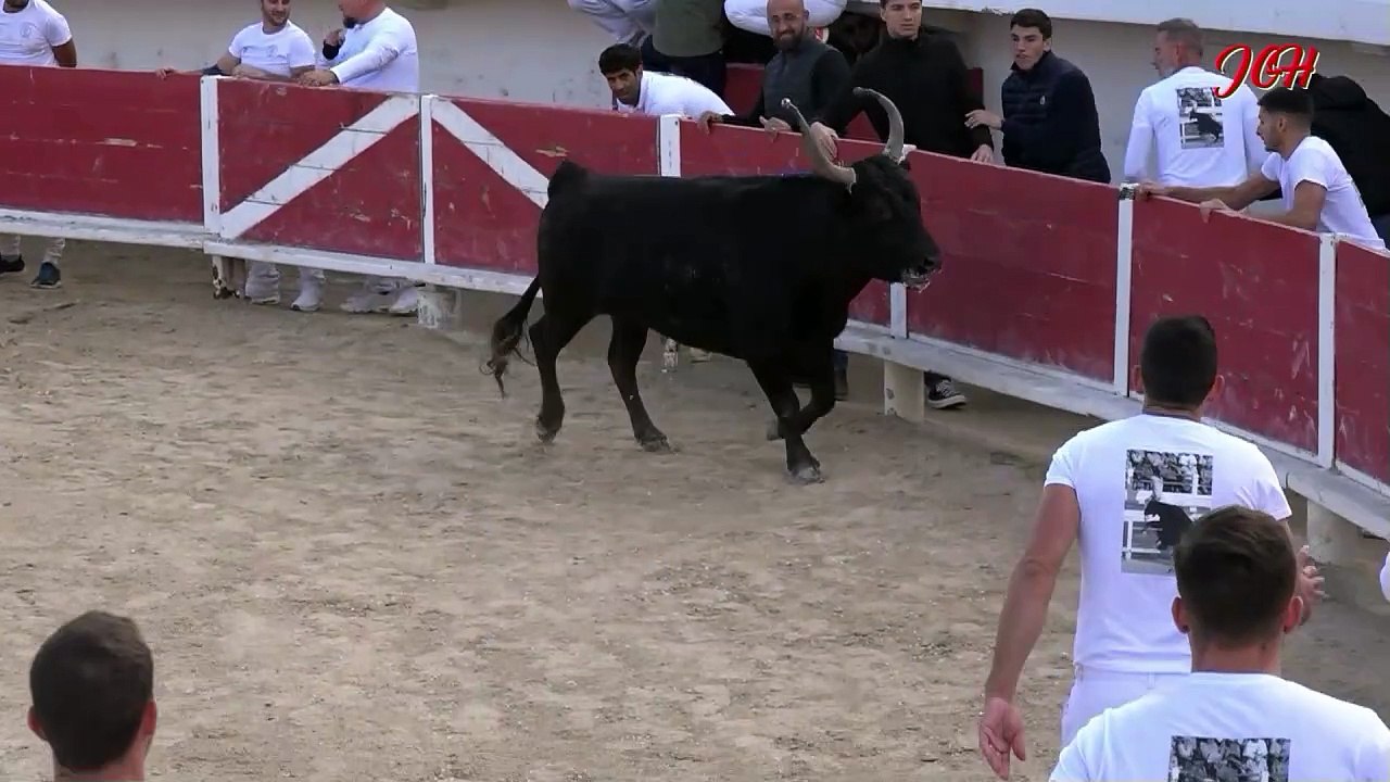 Jubilé Gabriel Montesinos avec ses amis raseteurs