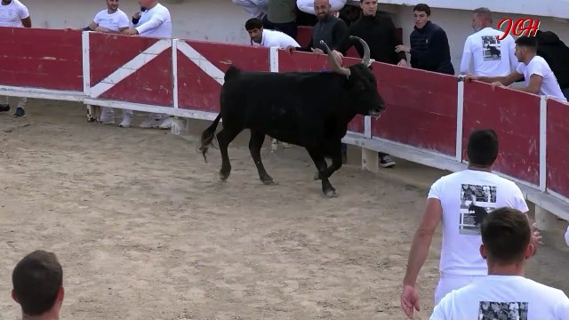 Jubilé Gabriel Montesinos avec ses amis raseteurs