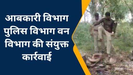 पीलीभीत: अवैध शराब को लेकर जंगल के अंदर चलाया सर्च अभियान