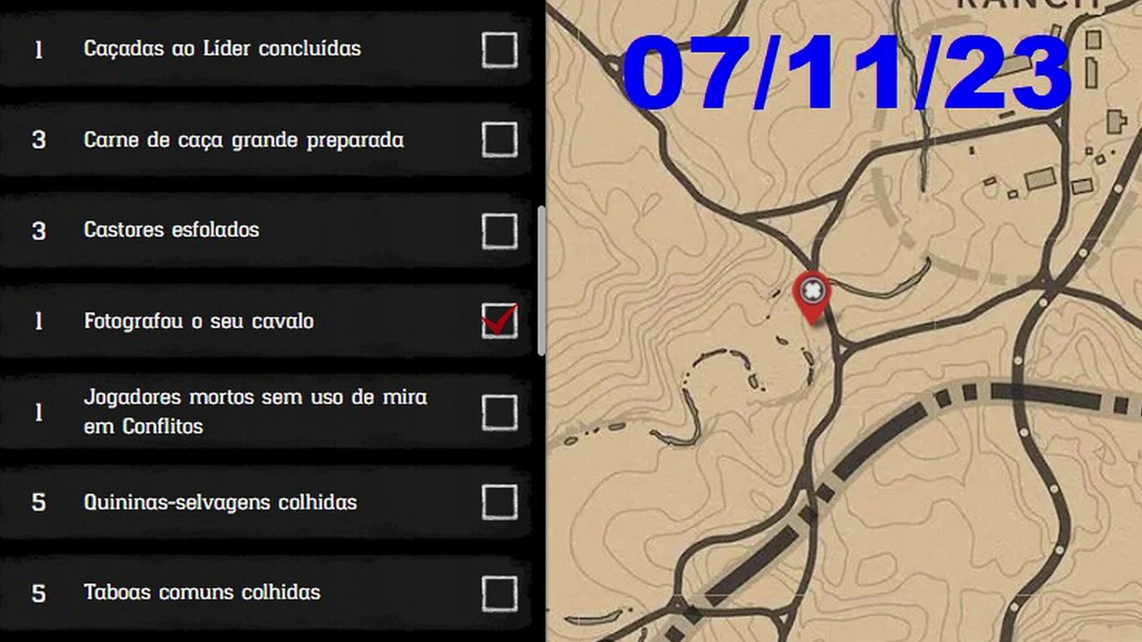 Fotografou seu Cavalo