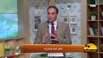 ترى 340 درجة وترى بالألوان..  تعرف على معجزة الله في عالم البط وأسراره