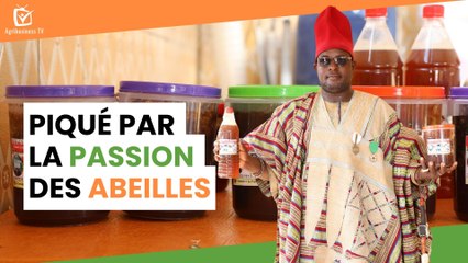 Burkina Faso : Piqué par la passion des abeilles