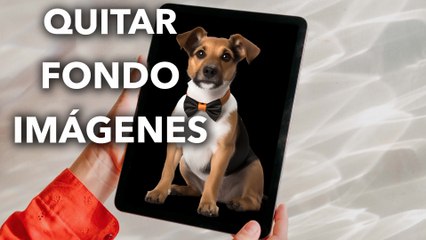 Cómo QUITAR EL FONDO de una IMAGEN | GRATIS