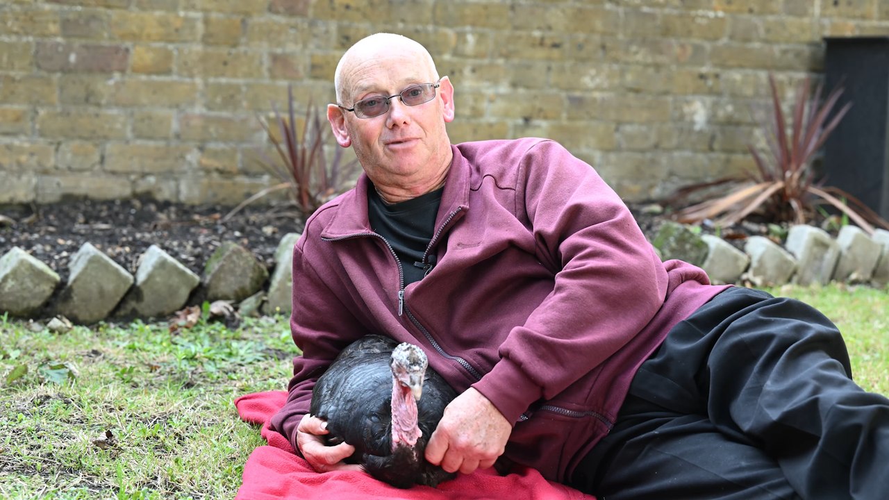 Man Takes Pet Turkey Everywhere