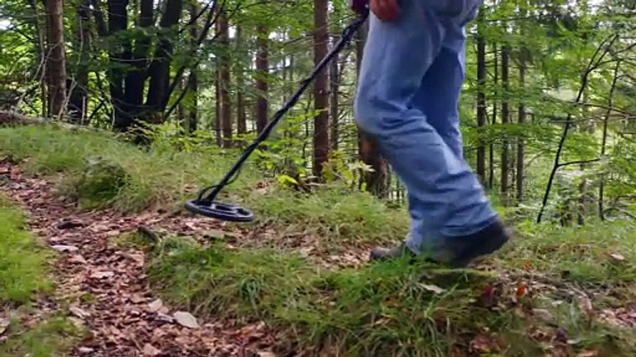 The Metal Detector