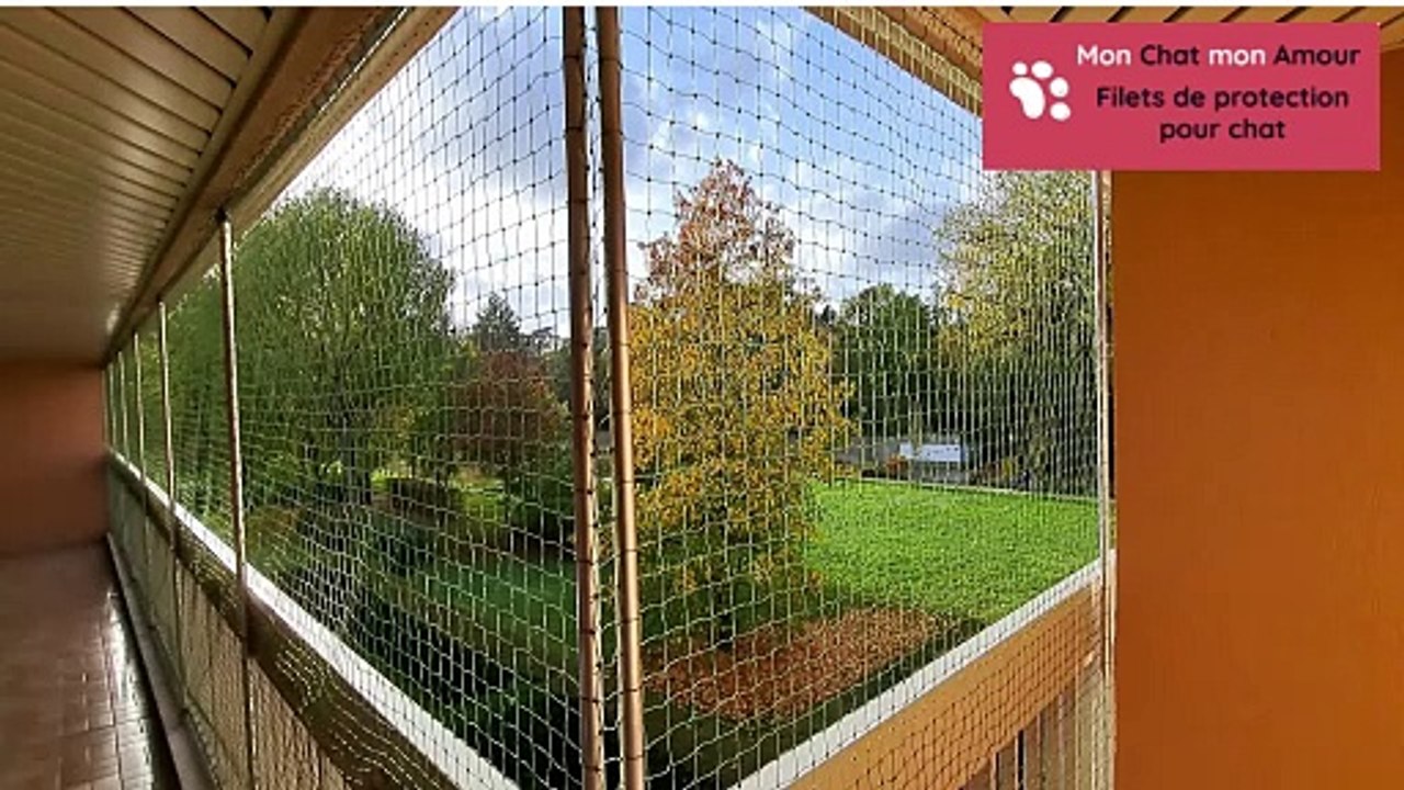 Sécurité pour chat COMPLÈTE pour balcon, avec filet renforcé et SANS percer ! 