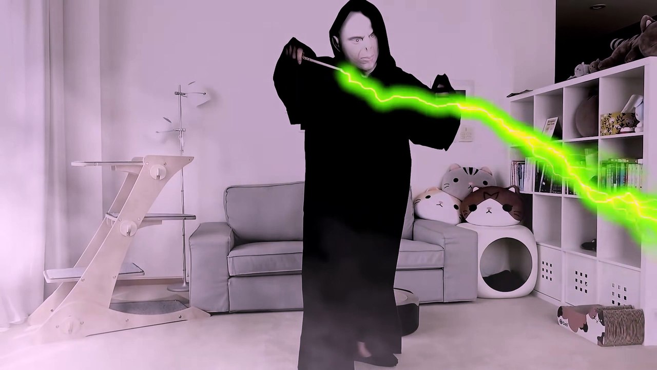 Cats vs Voldemort | Kittisaurus