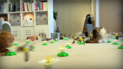 Cats vs 100 Birds | Kittisaurus