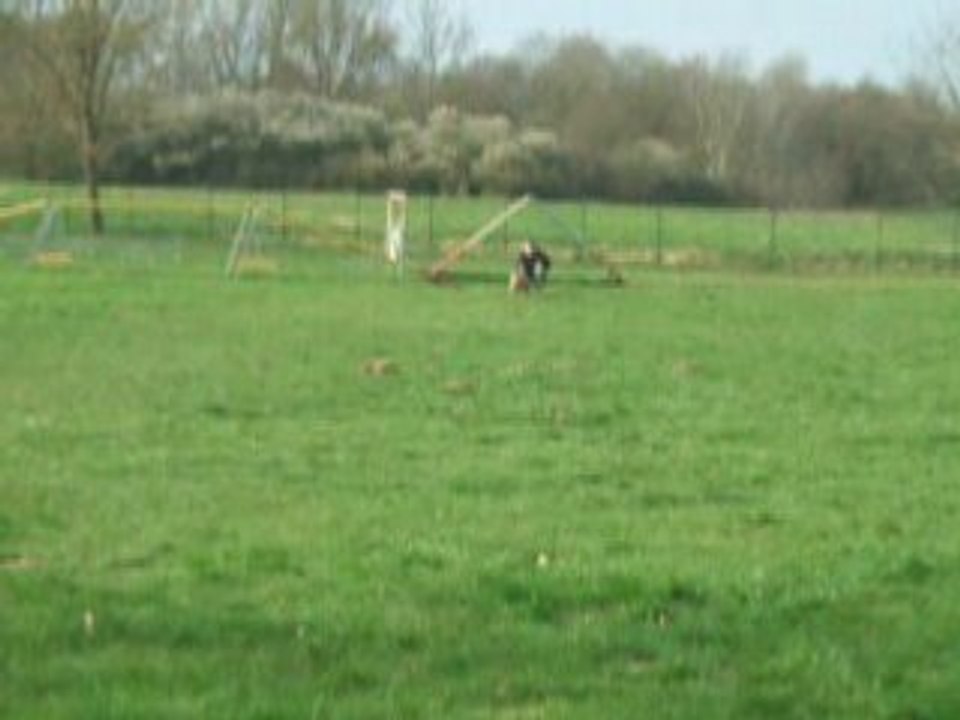 Photo 1541
