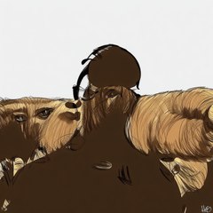 La Lune révèle la date de sortie de son prochain album...