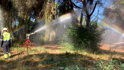 Prevención de incendios en el bosque de El Saler (Valencia)