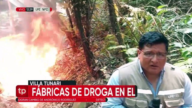 Hallan al menos 15 fábricas de elaboración de pasta base de cocaína en Villa Tunari