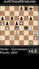 Hector vs Gunnarsson. Plovdiv, 2003. Ladder checkmate