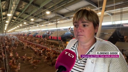 Des poules à 4 € à Sury-le-Comtal