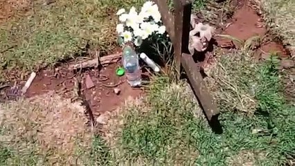 Internauta relata violação e prática de "macumba" no Cemitério Breda na Comunidade Gramadinho