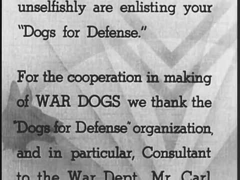 War Dogs (1942)