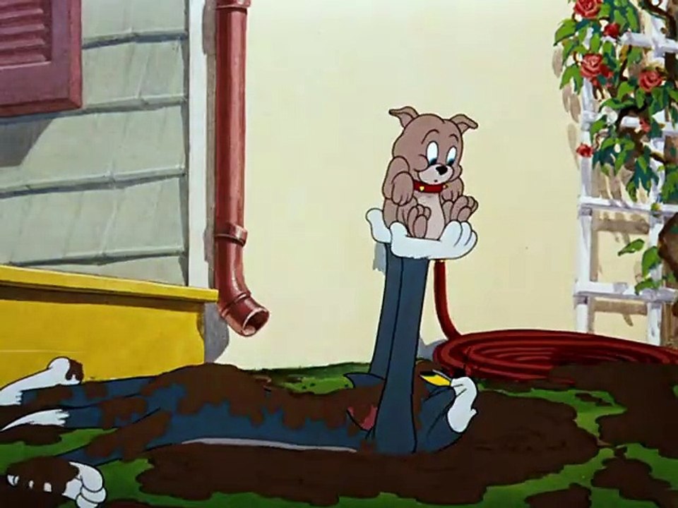 Tom & Jerry (1940) - S1950E14 - Slicked-Up Pup