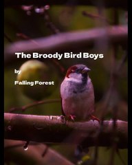 Grouchy Goldfinches - Falling Forest