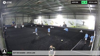 But de Hamed - CEVA LOG