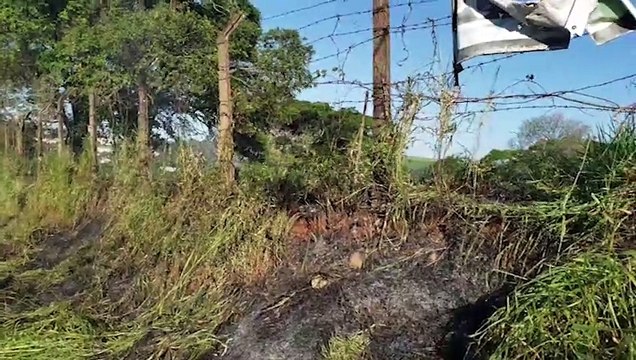 Incêndio em vegetação é registrado no Periolo