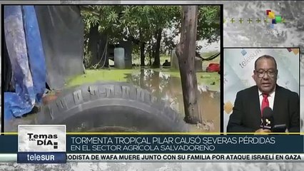 Tormenta tropical Pilar causa severas pérdida en agricultura salvadoreña