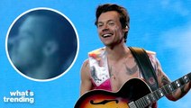 Harry Styles Fans Freak Out Over Shaved Head Rumor