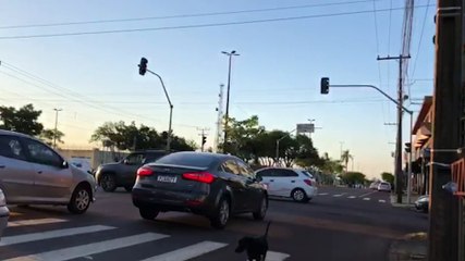 Falta de energia atinge três mil consumidores neste fim de tarde em Cascavel