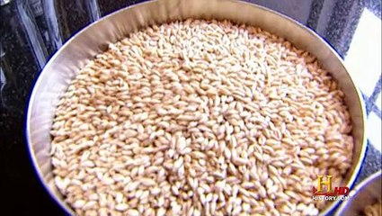 Food Tech S01E10: The Perfect Pairing of Hot Dogs & Beer 🌭🍺