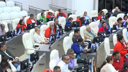 Asamblea Nacional analiza Tratado de Libre Comercio con China