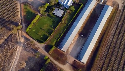 Kalahari Farms, Mutchilba, Qld | November 8, 2023 | Farmonline