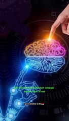 CEO Telegram Ogah Hapus Akun Hamas dari Aplikasinya