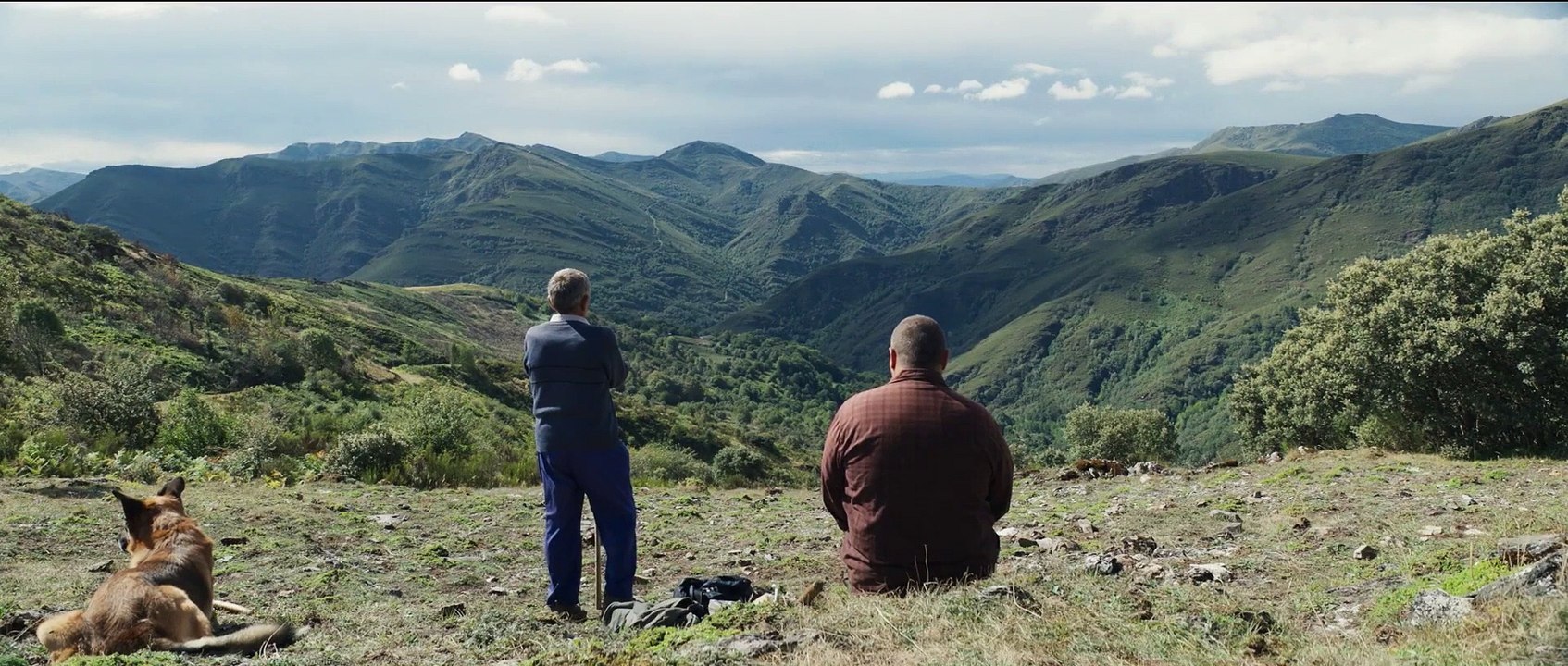 WIE WILDE TIERE  WIE WILDE TIERE Film