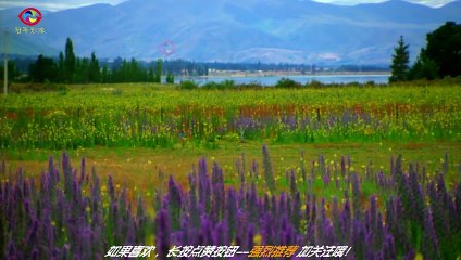 "The Great Nature Watched Quietly", Music by Bamboo Flute and Guqin (Zither)《静观山河》 竹笛, 古琴