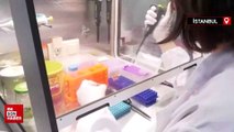 Batı Nil Virüsü’nü iki saatte tespit edebilen ‘PCR Tanı Kiti’ geliştirildi