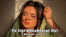 Tu Itni Khoobsurat Hai Lofi mix song (slowed  reverb) -- Arindam lofi