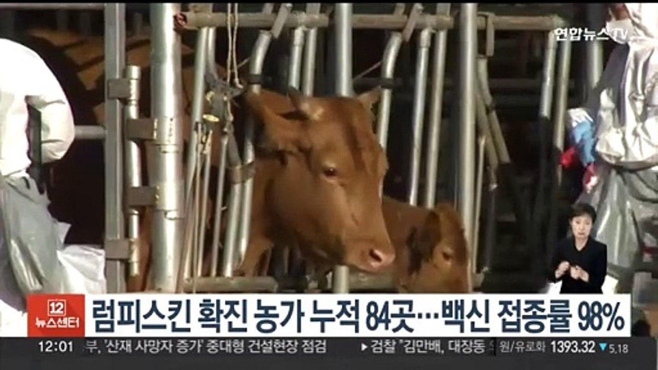 럼피스킨 확진 농가 누적 84곳…백신 접종률 98%