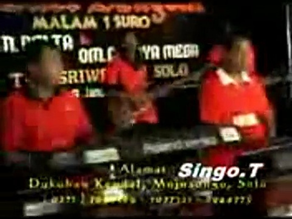 bunga dangdut