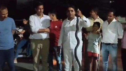 पाली: घर में घुसा 6 फीट लंबा कोबरा सांप, फिर...जो हुआ