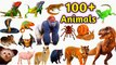 Animals Vocabulary in English | 100 Animals Name with Pictures